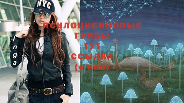 мдпв Балабаново