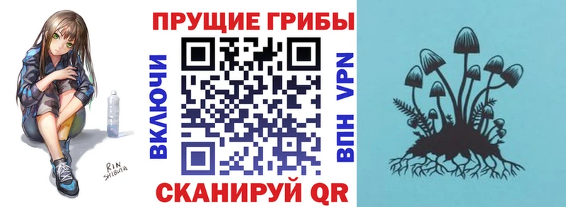 mega ONION  Курганинск  Галлюциногенные грибы Psilocybine cubensis 